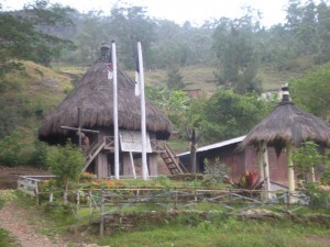 Huts in Timor-Leste