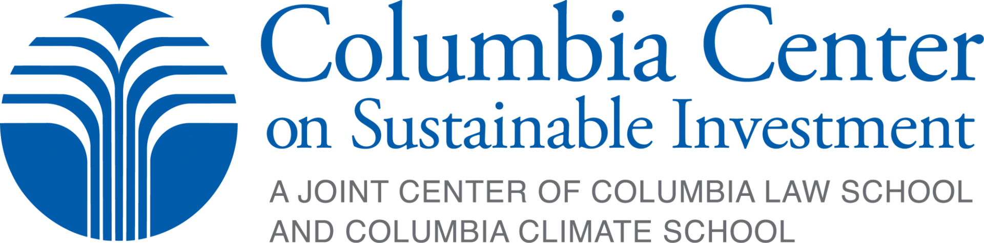 CCSI Logo