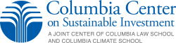 ccsi logo