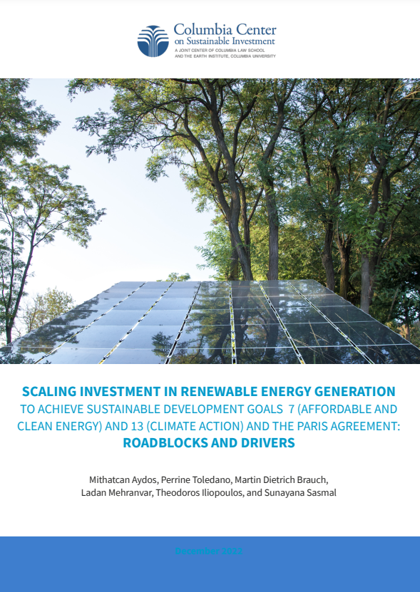 Scaling Investment in Renewables
