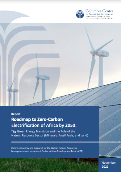 Cover photo for CCSI publication