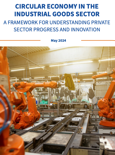 publication cover photo