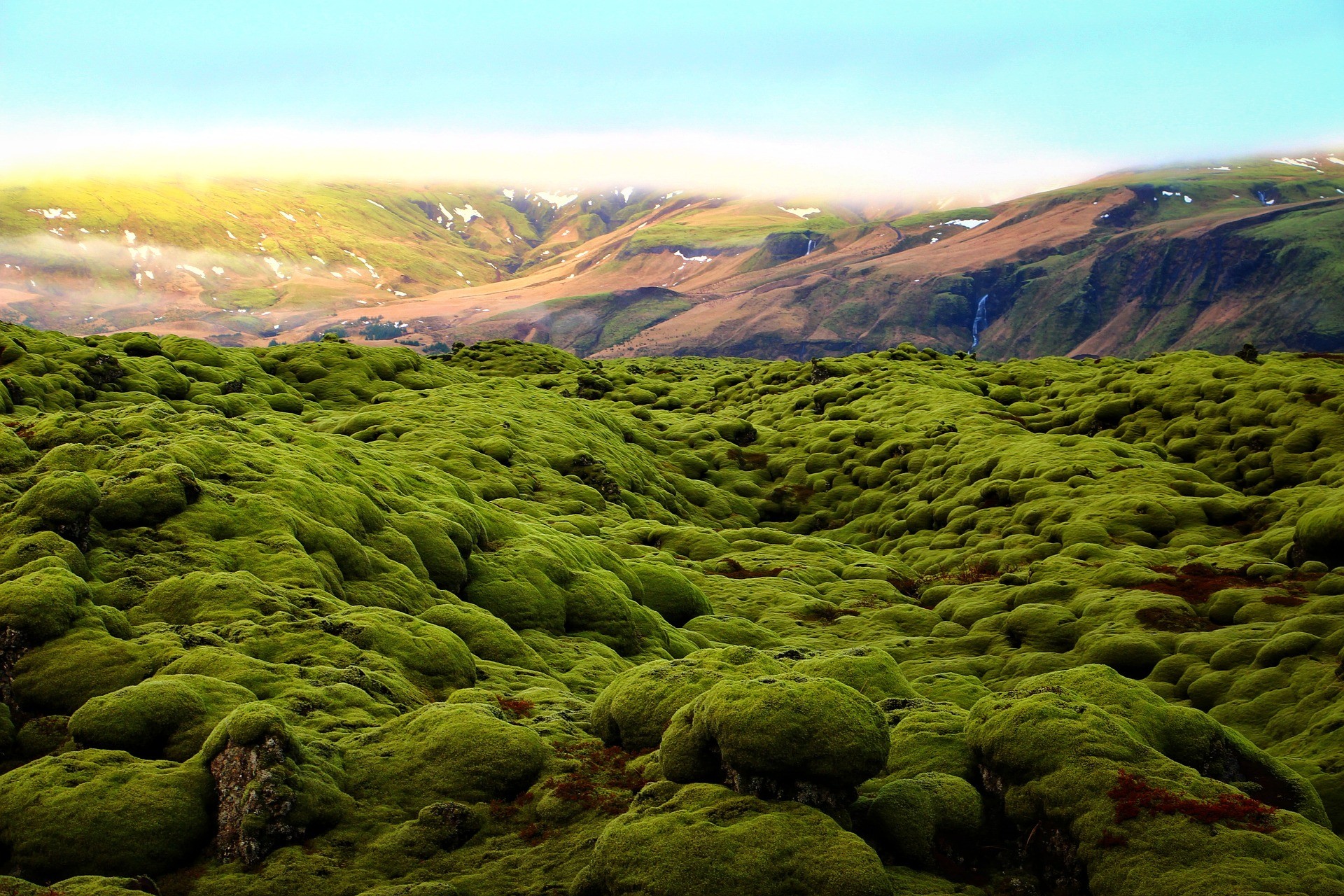 green field