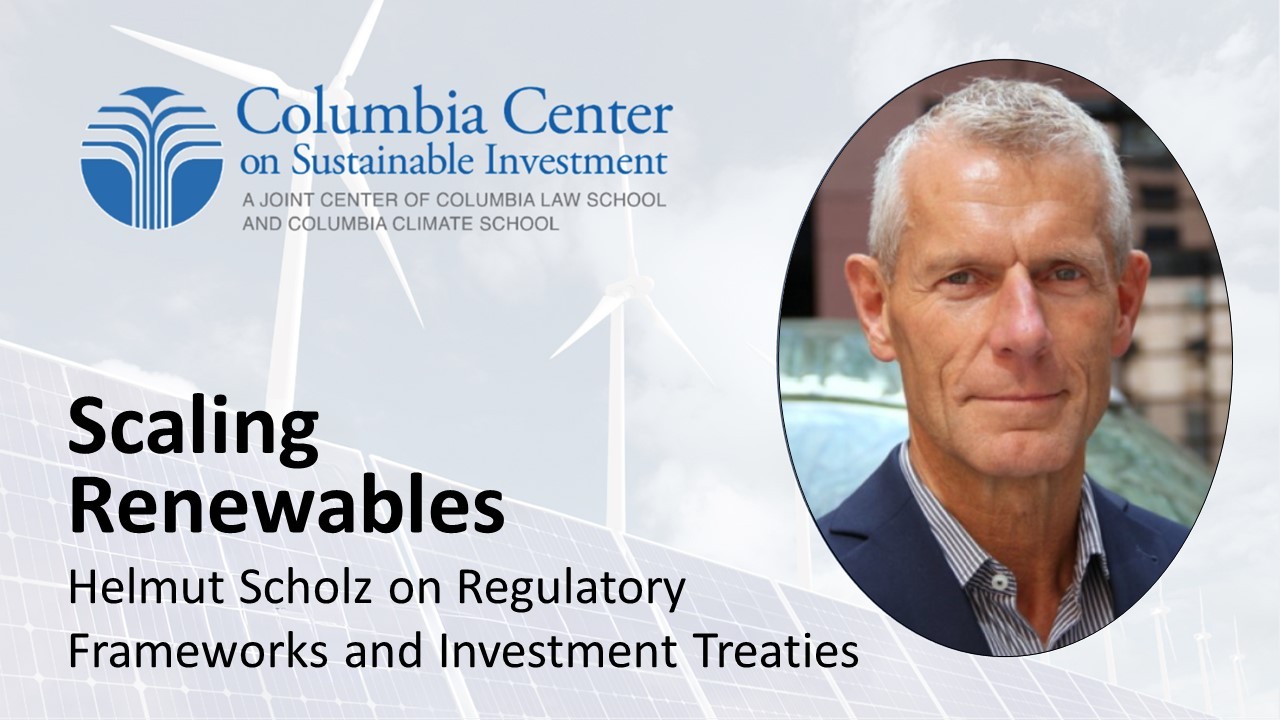 Scaling Renewables: Helmut Scholz On Regulatory Frameworks And ...