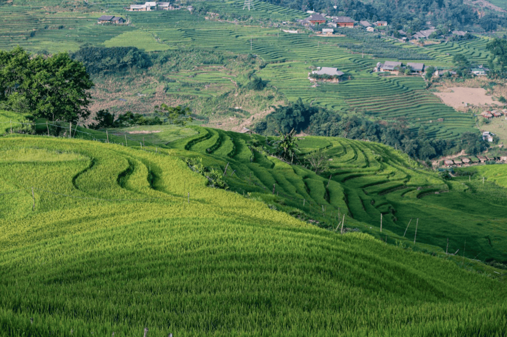 image of rolling hills