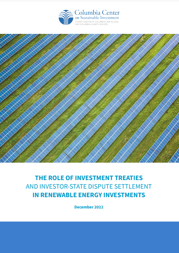 The Role of Investment Treaties