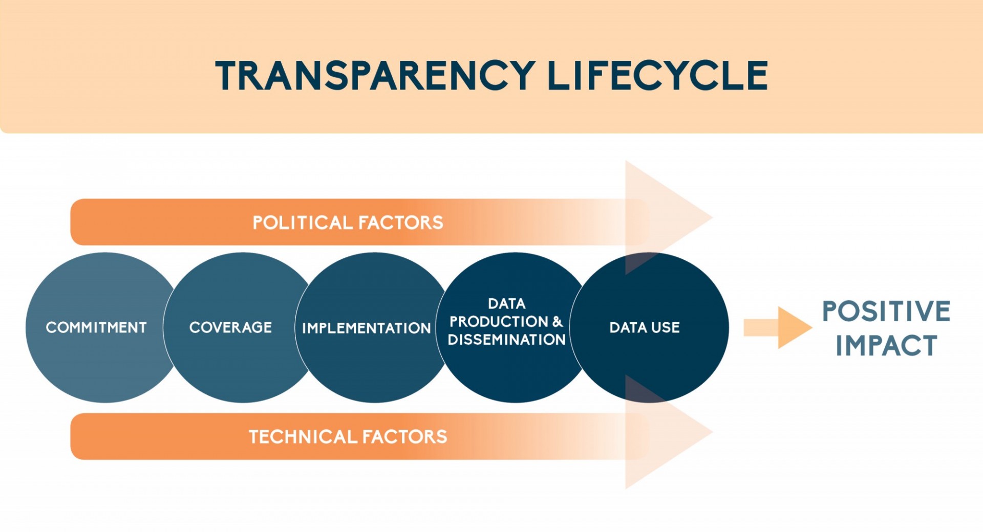transparency graphic