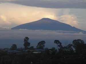 mount cameroon