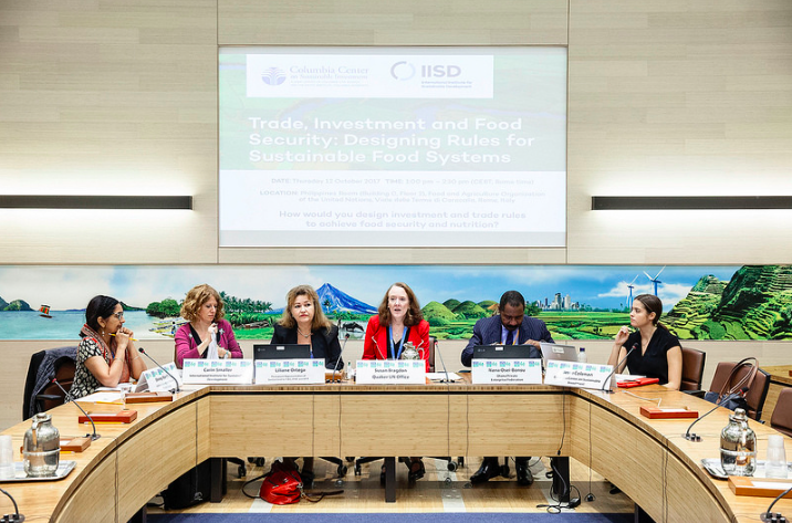 Photo credit: ©FAO/Giuseppe Carotenuto. Editorial use only. Copyright ©FAO https://flickr.com/photos/faonews/37605734196/in/album-72157661412099118/ plenary session