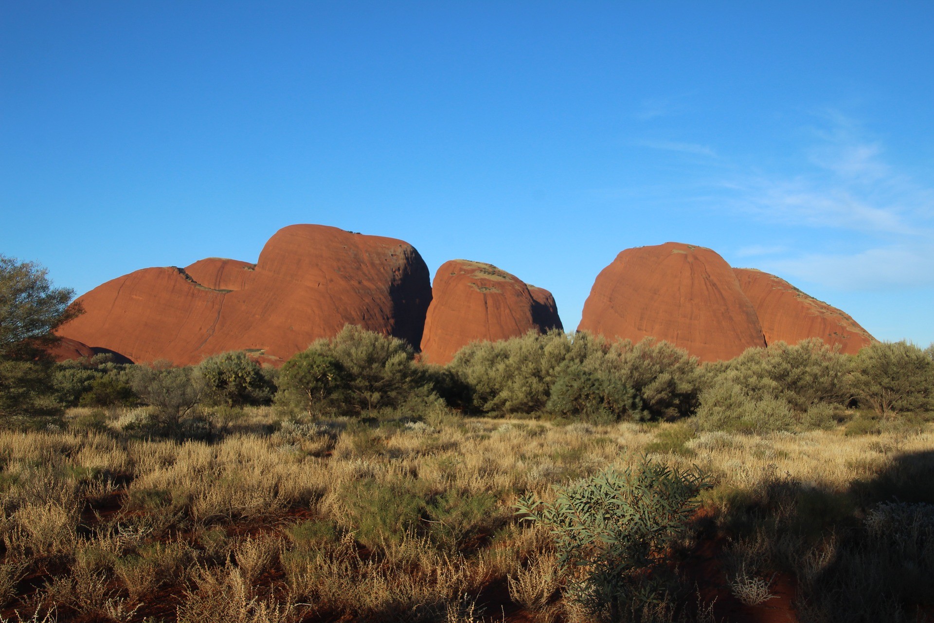 rocks