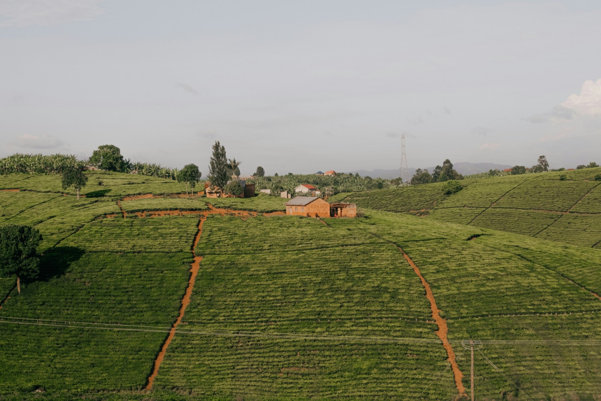 Image of farm with house