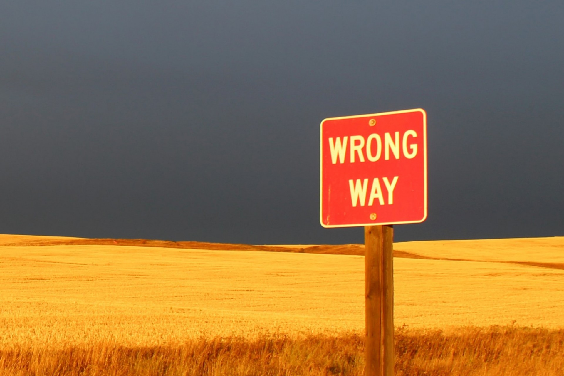 Yellow fields with red sign labeled "WRONG WAY"