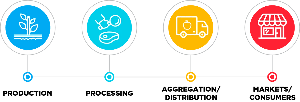 Line graphic with four points: production, processing, aggregation/distribution, and market/consumers