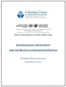 International Investment and the Rights of Indigenous Peoples
