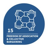 pillars 2 & 3 freedom of association & collective bargaining