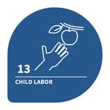 pillars 2 & 3 child labor