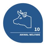 pillar 2 & 3 animal welfare