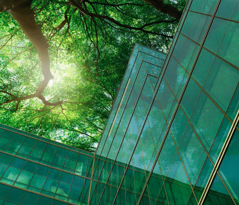 Finance For Zero: Redefining Financial-Sector Action to Achieve Global Climate Goals