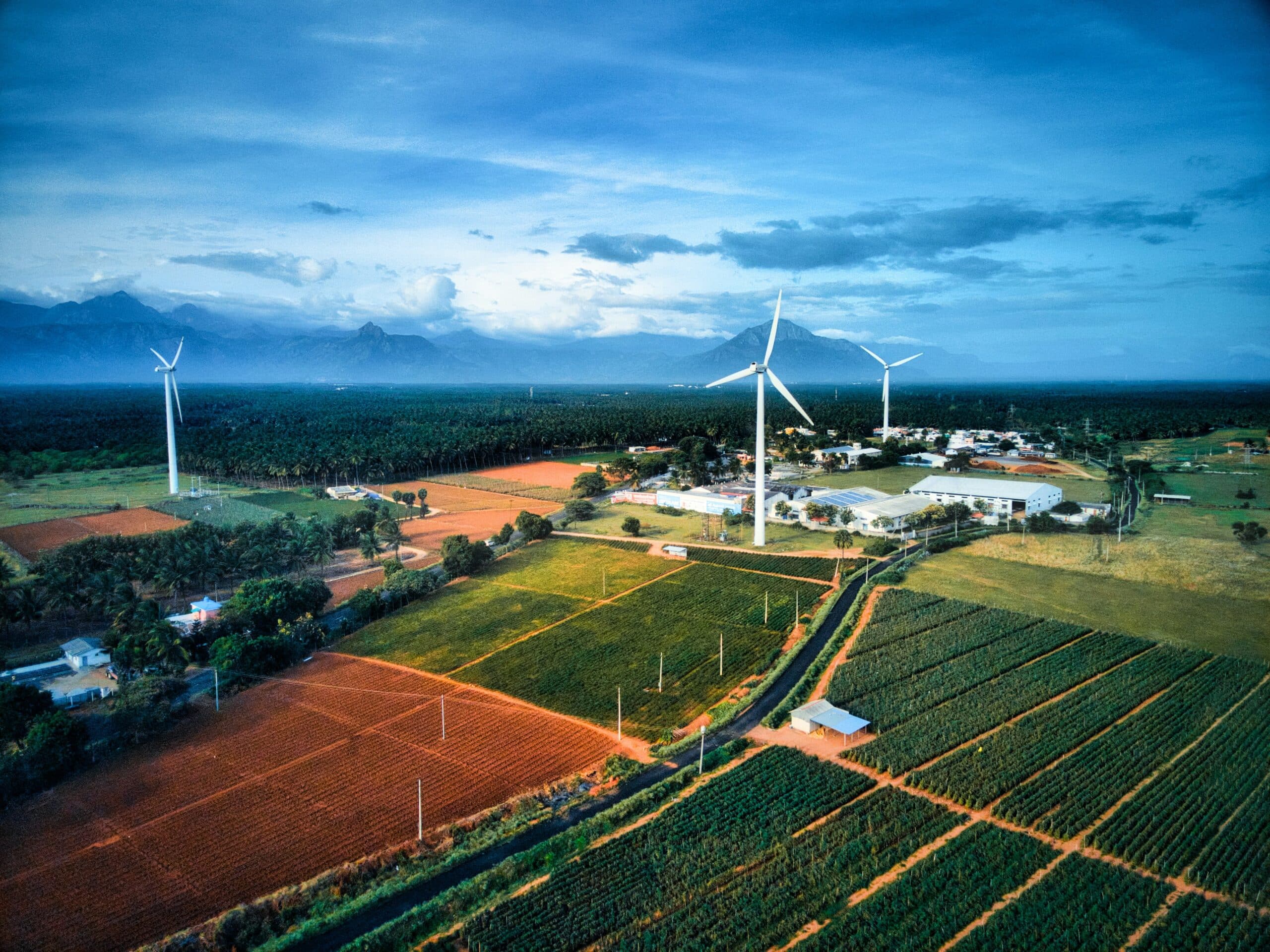 Development Planning