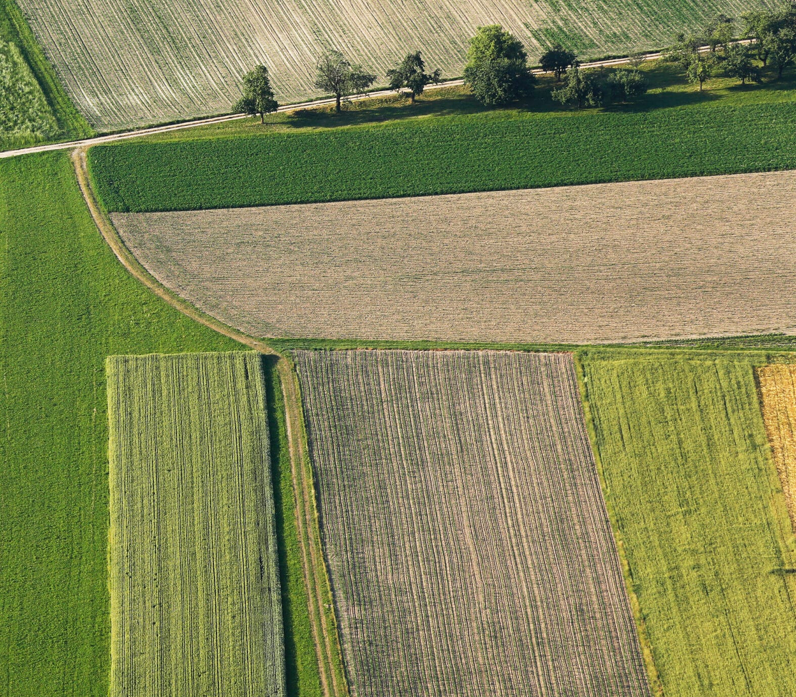 Catalyzing Public and Private Investments to Scale Up Socio-Bioeconomy and Nature-Based Solutions