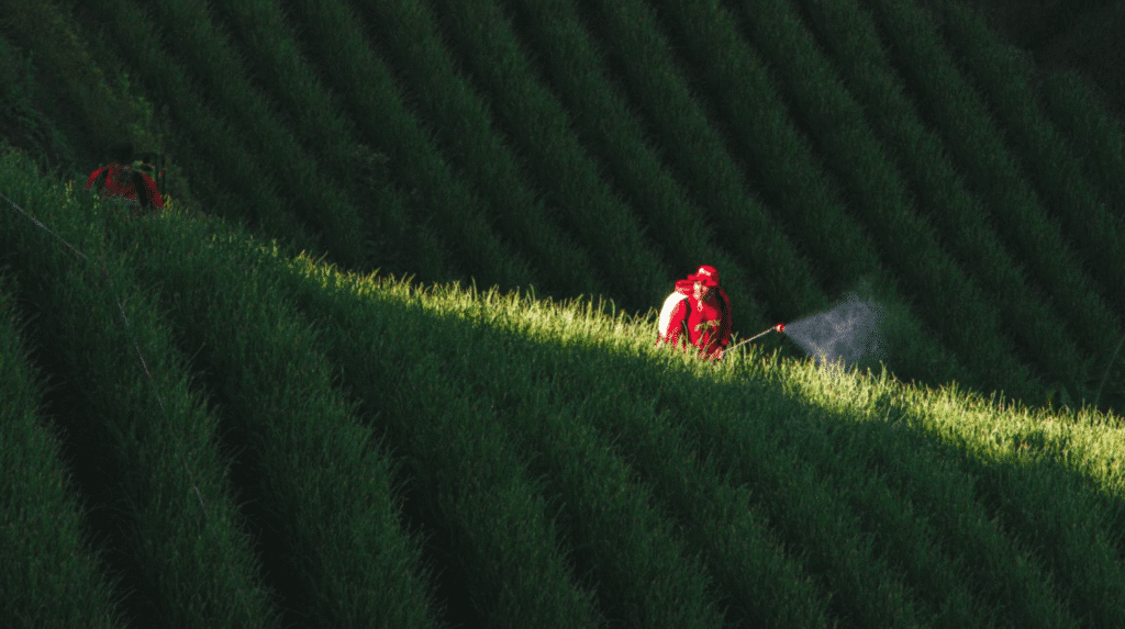 Strategic Investments for Agrifood Systems